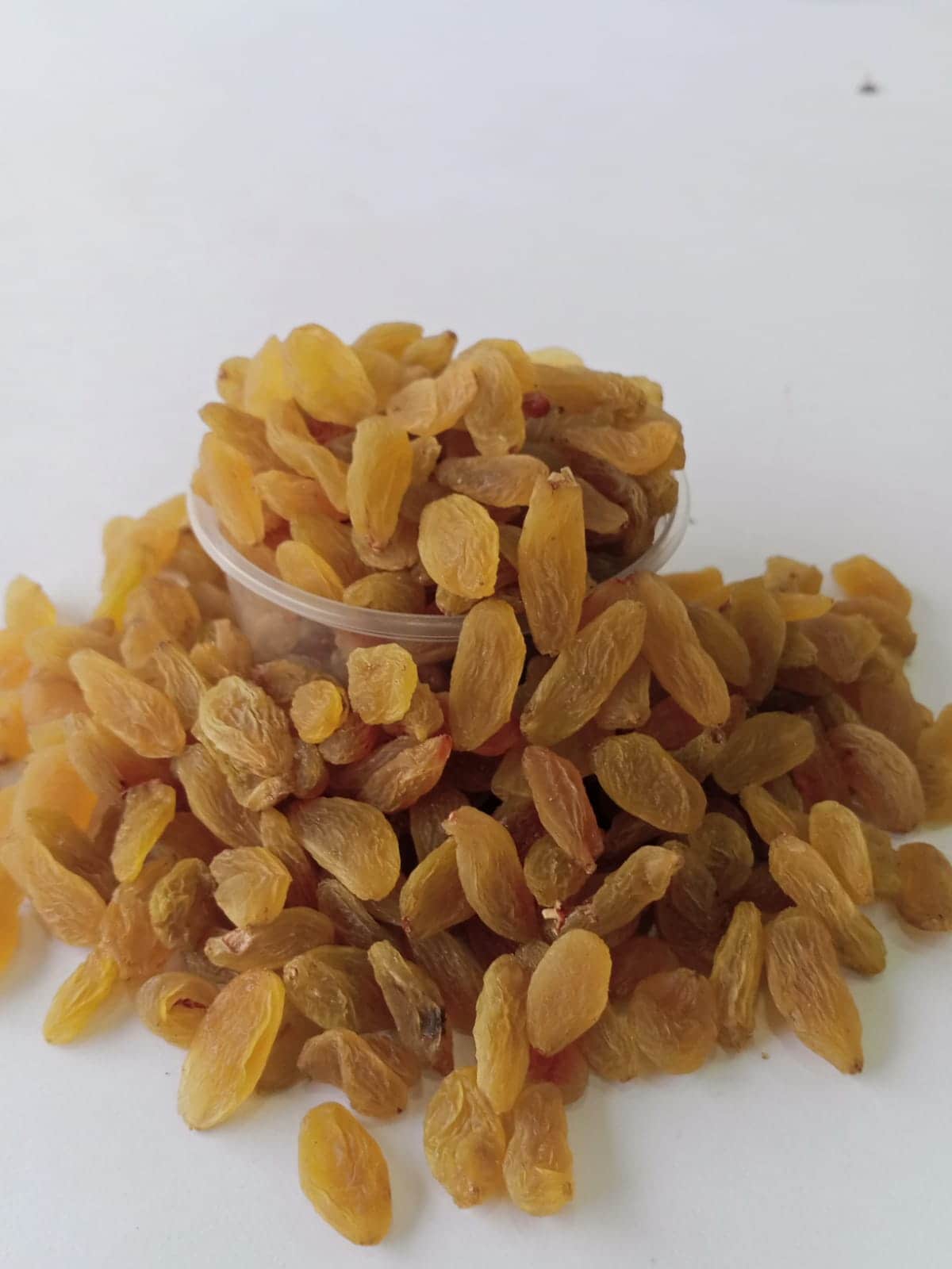 Golden Round Raisins